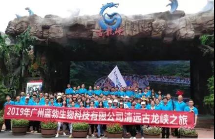 ���λ��¼����2019����������չ